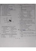 Ch- Anatomy of flowering plants mcq's for NEET, AIIMS exam