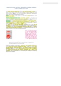 Fisiología de los eritrocitos y Grupos Sanguineos(subrayado)