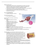 Vraag-antwoord samenvatting fysiologie