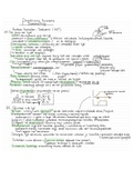 Samenvatting Economie HVT