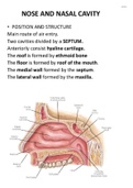 Anatomy and physiology of Respiratory system of human