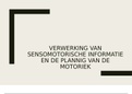 Samenvatting van de verwerking van sensorische informatie en de planning van de motoriek