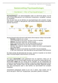 Psychopathologie: Uitgebreide samenvatting (2021); zelf 8.5 gehaald