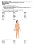 BIOS 251 Week 1 - 7 Anatomy Lab Terms List with Practice Pictures