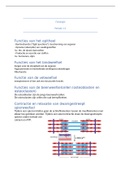 Fysiologie 2BL Samenvatting P1-2