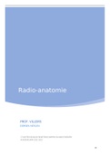 Revaki van het uro-gynaecologische stelsel - radio-anatomie
