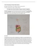 Unit 8C: Physiology of Human Body Systems 