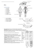 DI Practica Uitwerkingen - DB2