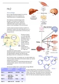 Stofwisseling en Endocrinologie (SE) Volledig