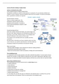 Lecture notes Decision Making In Supply Chains 