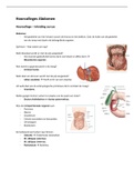 Abdomen Hoorolleges