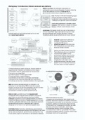 Werkgroepen Patient centered care delivery (Cijfer 8,4)