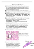 Documento sobre la histologia de la piel y los anexos de esta especial para estudiantes del área dela salud, enfermería, medicina ,etc.