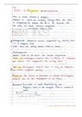 IEB Grade 10 Physics Notes