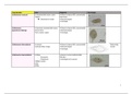 Samenvatting parasitologie en samenvattende tabellen