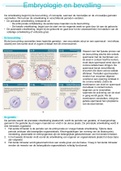 Embryologie en bevalling