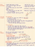 EKG and Heart Rhythms