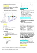 BIOL 1070 midterm 1 review .