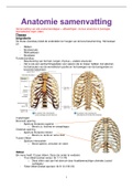 Samenvatting ANATOMIE hoorcolleges; cursus Anatomie en Fysiologie(AB_1176); studie Gezondheid en Leven; jaar 2 (biomedische major)