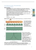 Neurosciences year 1 - From Molecule to Mind (AM_1275) - summary lectures Neurophysiology part