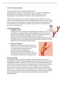 Uitwerking ziektebeeld Carotis endarteriëctomie