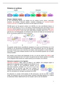 Samenvatting/College uitwerkingen  Ontwerp & Synthese (2122-S1)