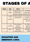 The Stages of Attachment A* notes for A-Level Psychology - VISUALLY PRESENTED, EVERYTHING YOU NEED TO KNOW FOR AN A*