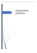 Verslag/opdrachtenportfolio Ruimte & Infrastructuur 7 : Vastgoed in de Wijk