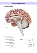 Binoculairzien: Binoculaire Diplopie