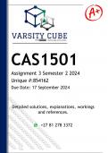 CAS1501 Assignment 3 (DETAILED ANSWERS) Semester 2 2024 - DISTINCTION GUARANTEED