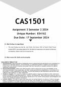 CAS1501 Assignment 3 (ANSWERS) Semester 2 2024 - DISTINCTION GUARANTEED