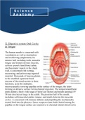 Class notes about digestive sytems