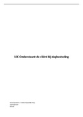 Consortiumopdracht 10C - Ondersteunt de cliënt bij dagbesteding 10-MZ-B-K1-W4