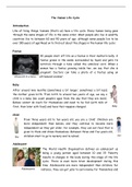 Human-life-cycle-explanation-text.pdf