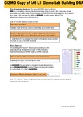 Exam (elaborations) GIZMO Copy Of M5 L1 Gizmo Lab Building DNA 