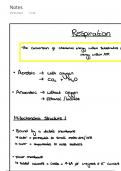 Unit 5 - Respiration