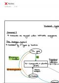 Unit 5 - Nutrient Cycles 