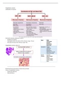 Megaloblastic anaemia