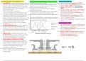 All there is to know to geography in summarised mind map forms