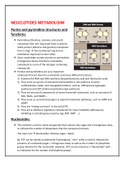 NEUCLOTIDES METABOLISIM (check description)