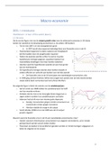 Samenvatting macro economie (14/20)