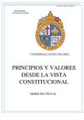 PRINCIPIOS Y VALORES VISTA CONSTITUCIONAL