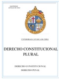 DERECHO CONSTITUCIONAL PLURALISMO