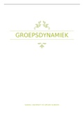 Samenvatting Groepsdynamiek