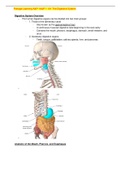 Portage Learning A&P 1 101 The digestive system , AP Axial Muscles Lab Exam , Integumentary system Test , Module 5 exam 5 Muscular system & Final exam Latest