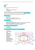 Samenvatting  AFP  verpleegkunde LP1 jaar 1