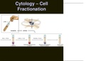 Cytology-cell-fractionation-cytology-microscopy