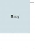 Alevel Psychology AQA Paper 1 - Memory revision notes 