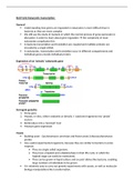 Eukaryotic Transcription