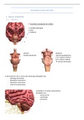 Samenvatting neurologische systeem - module 2 neuro-anatomie Uhasselt